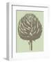 Artichoke 11-Botanical Series-Framed Art Print