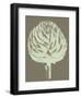 Artichoke 12-Botanical Series-Framed Art Print