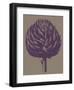 Artichoke 14-Botanical Series-Framed Art Print