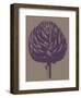 Artichoke 14-Botanical Series-Framed Art Print