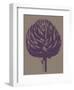 Artichoke 14-Botanical Series-Framed Art Print