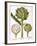 Artichoke, 1613-Besler Basilius-Framed Giclee Print