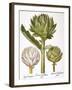 Artichoke, 1613-Besler Basilius-Framed Giclee Print