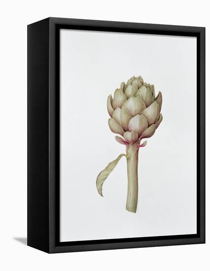 Artichoke, 1999-Diana Everett-Framed Stretched Canvas