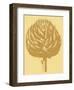 Artichoke 19-Botanical Series-Framed Art Print