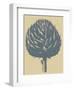 Artichoke 1-Botanical Series-Framed Art Print