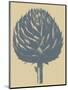 Artichoke 1-Botanical Series-Mounted Art Print