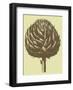 Artichoke 3-Botanical Series-Framed Art Print