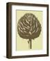 Artichoke 3-Botanical Series-Framed Art Print