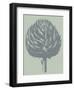 Artichoke 8-Botanical Series-Framed Art Print