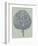 Artichoke 8-Botanical Series-Framed Art Print