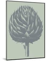 Artichoke 8-Botanical Series-Mounted Art Print