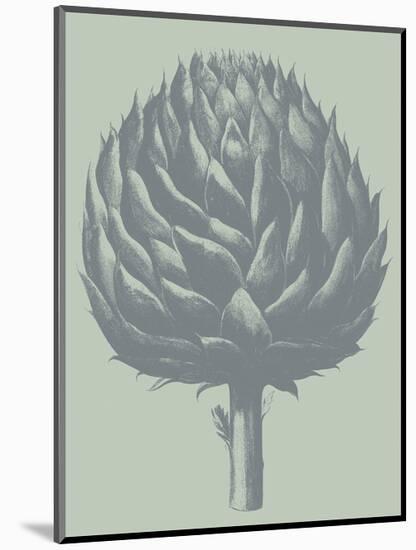 Artichoke 8-Botanical Series-Mounted Art Print