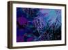 Artichoke_abst_horz3 (digital)-Scott J. Davis-Framed Giclee Print