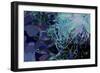 Artichoke_abst_horz4 (digital)-Scott J. Davis-Framed Giclee Print