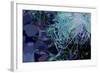 Artichoke_abst_horz4 (digital)-Scott J. Davis-Framed Giclee Print