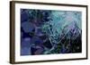 Artichoke_abst_horz4 (digital)-Scott J. Davis-Framed Giclee Print