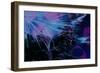 Artichoke_abst_horz5 (digital)-Scott J. Davis-Framed Giclee Print