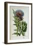 Artichoke, Botanical Plate-Marguerite Buret-Framed Giclee Print