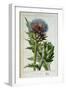 Artichoke, Botanical Plate-Marguerite Buret-Framed Giclee Print