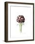 Artichoke from Roman Market, 2016-Alison Cooper-Framed Giclee Print