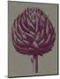 Artichoke (grey-plum)-Botanical Series-Mounted Art Print