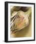 Artichoke, Halved-Eising Studio - Food Photo and Video-Framed Photographic Print