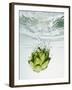 Artichoke in Water-Biwa-Framed Photographic Print