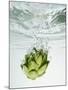 Artichoke in Water-Biwa-Mounted Photographic Print