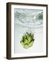 Artichoke in Water-Biwa-Framed Photographic Print