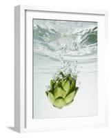 Artichoke in Water-Biwa-Framed Photographic Print