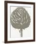 Artichoke (Ivory & Burlap)-Botanical Series-Framed Art Print