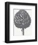 Artichoke (Ivory & Gray)-Botanical Series-Framed Art Print
