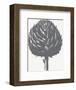 Artichoke (Ivory & Gray)-Botanical Series-Framed Art Print