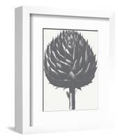 Artichoke (Ivory & Gray)-Botanical Series-Framed Art Print