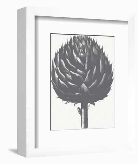 Artichoke (Ivory & Gray)-Botanical Series-Framed Art Print