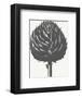 Artichoke (Ivory & Ink )-Botanical Series-Framed Art Print