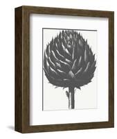 Artichoke (Ivory & Ink )-Botanical Series-Framed Art Print