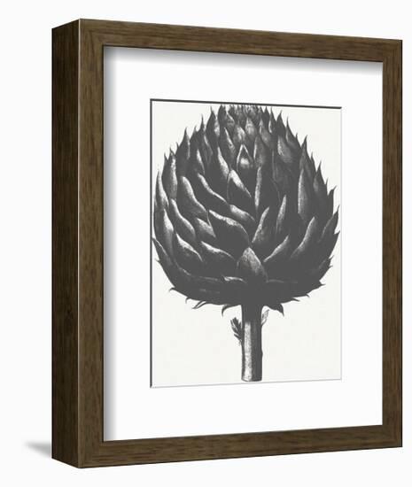 Artichoke (Ivory & Ink )-Botanical Series-Framed Art Print