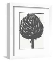 Artichoke (Ivory & Ink )-Botanical Series-Framed Art Print