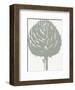 Artichoke (Ivory & Sage)-Botanical Series-Framed Art Print