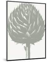 Artichoke (Ivory & Sage)-Botanical Series-Mounted Art Print