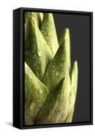 Artichoke Leaves-null-Framed Stretched Canvas