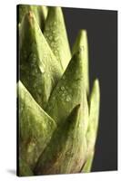 Artichoke Leaves-null-Stretched Canvas