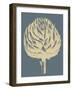 Artichoke, no. 2-null-Framed Art Print