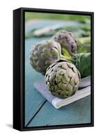 Artichoke of Paestum Igp-null-Framed Stretched Canvas