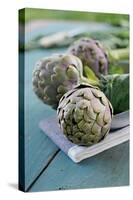 Artichoke of Paestum Igp-null-Stretched Canvas