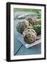 Artichoke of Paestum Igp-null-Framed Photographic Print