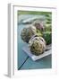 Artichoke of Paestum Igp-null-Framed Photographic Print