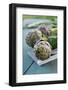 Artichoke of Paestum Igp-null-Framed Photographic Print